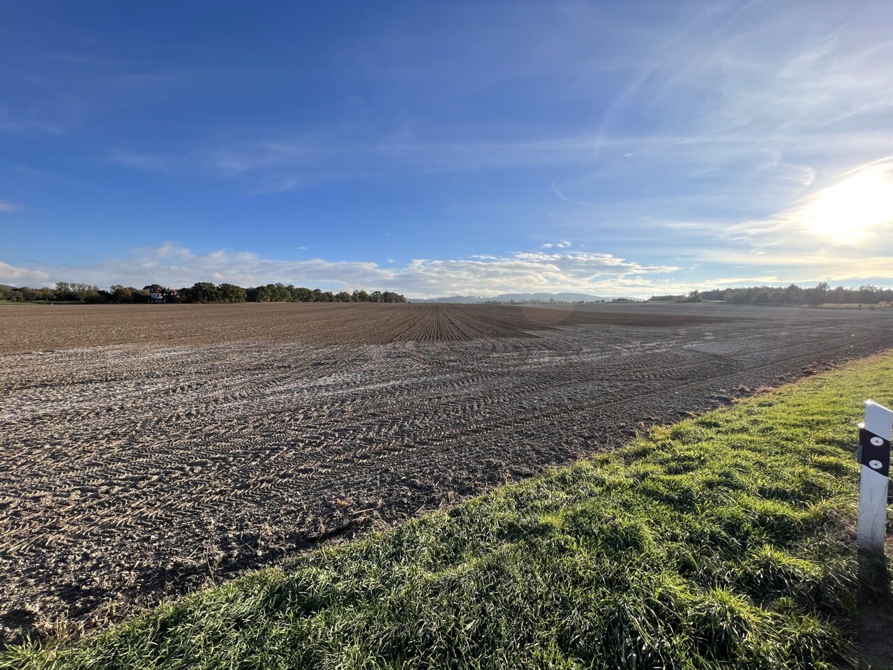 Blick von Straße Richtung Süden