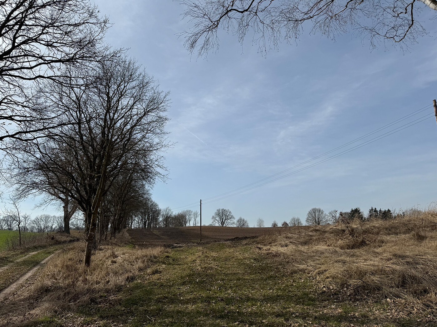 Blick vom Wirtschaftsweg auf den Acker