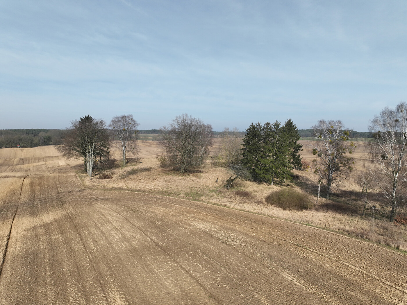 Blick zum kl. Wald/Weide Bestand