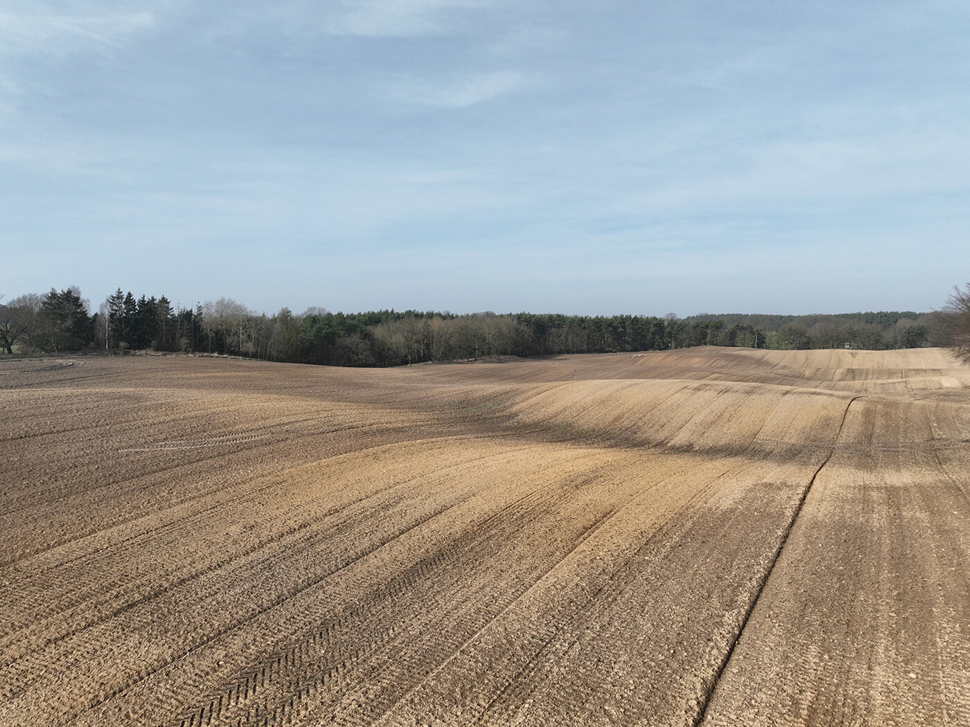 Blick über den Acker - Richtung Westen