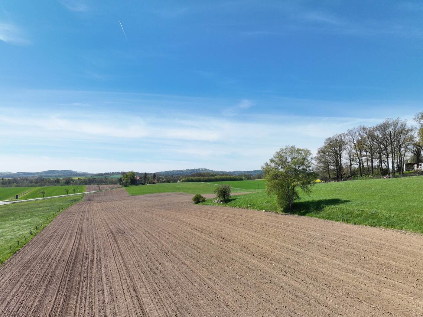 Blick auf Acker im westlichen Schlag