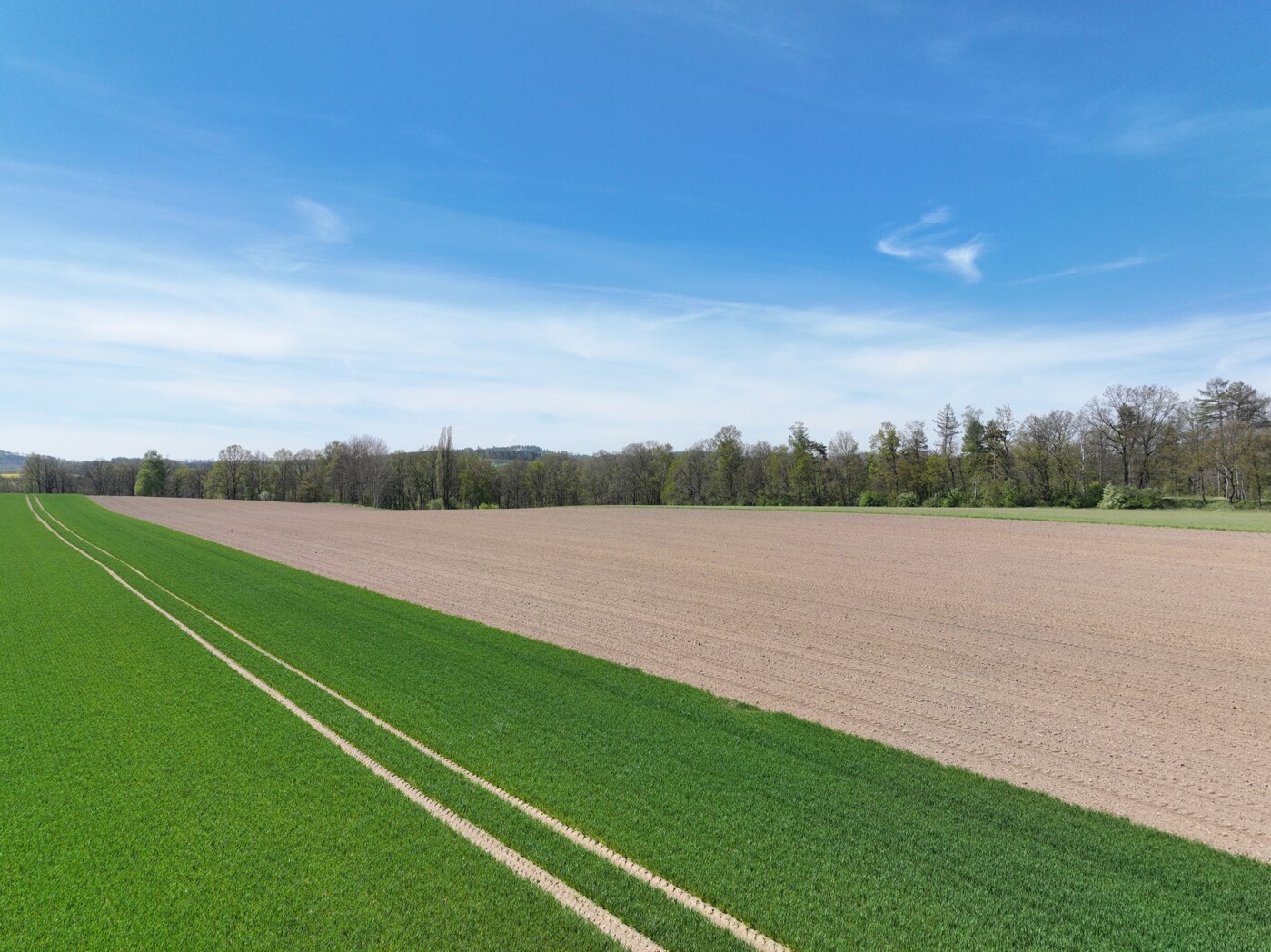 Blick auf Acker im östlichen Schlag