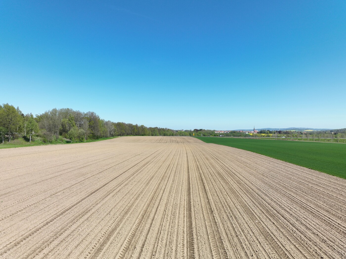 Blick auf Acker im östlichen Schlag