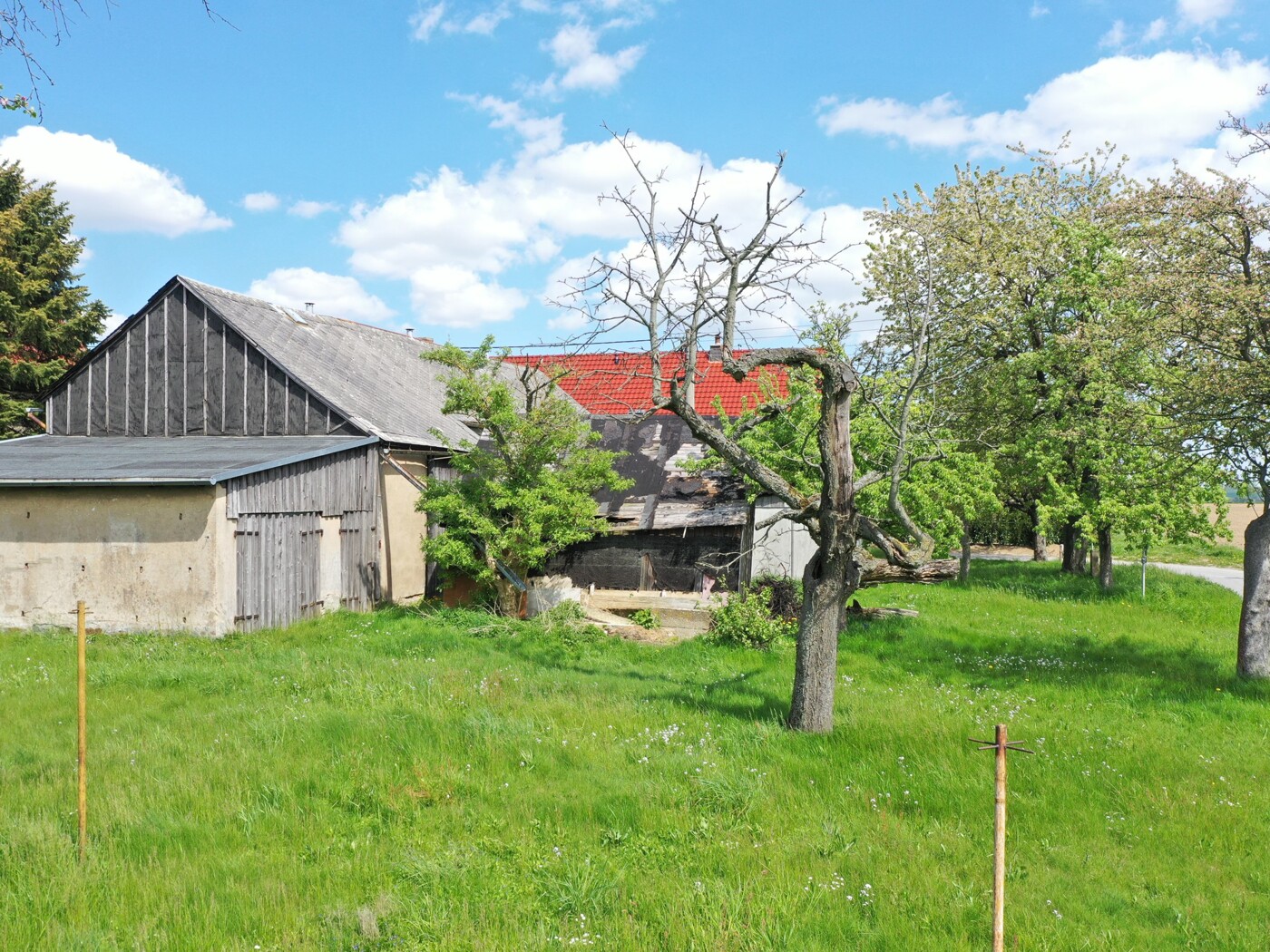 Blick von Westen auf die Streuobstwiese