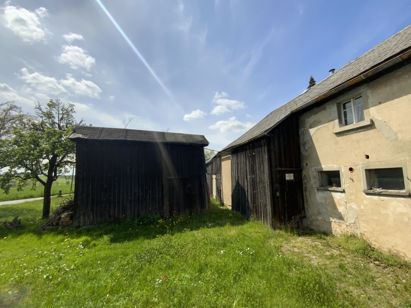 Blick in den Garten