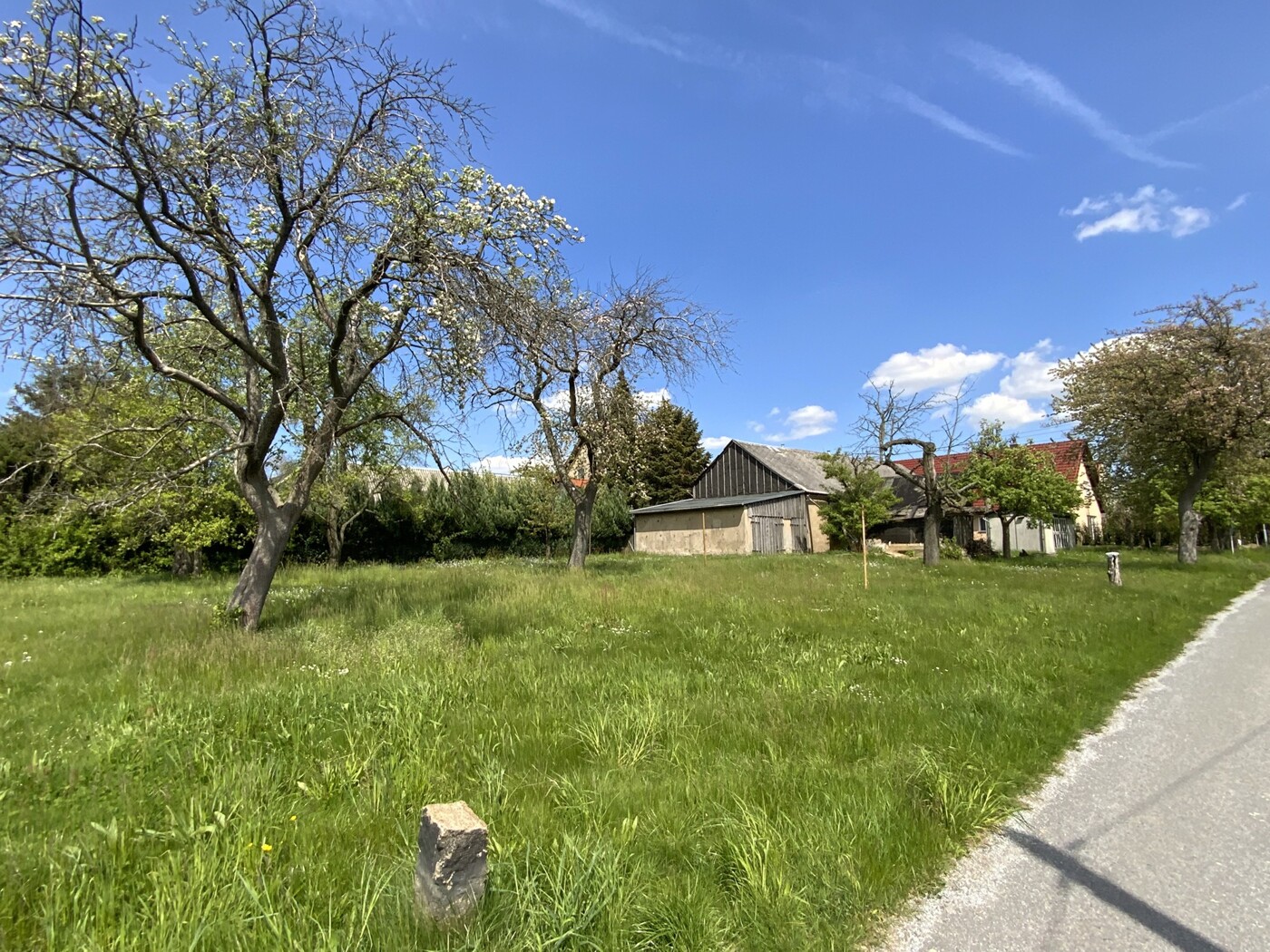 Blick von Westen auf die Streuobstwiese