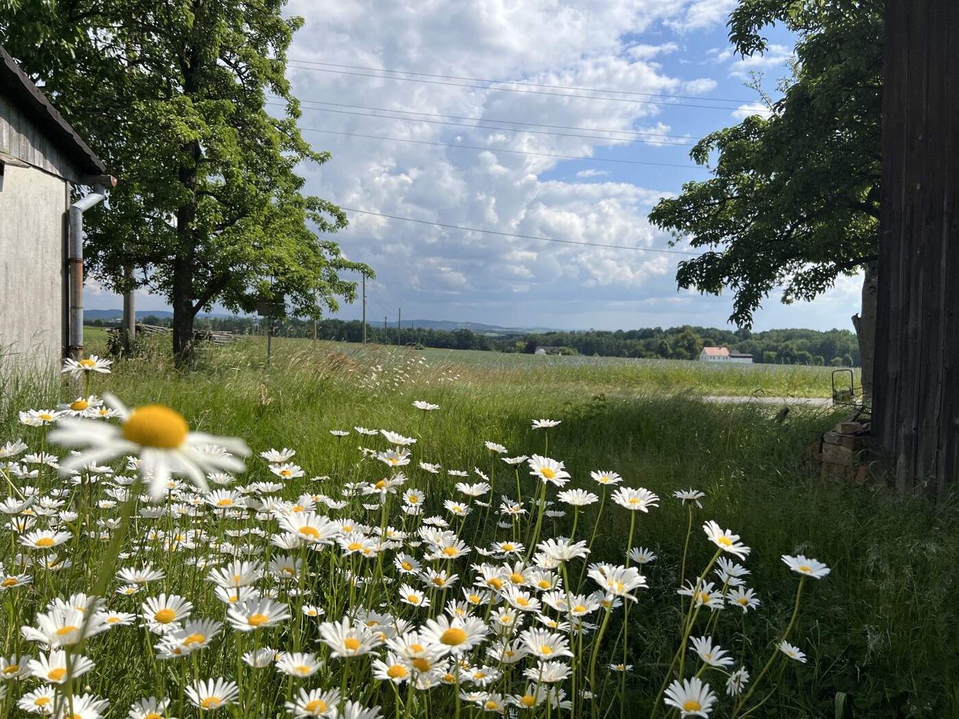 Blick vom Garten nach Süden