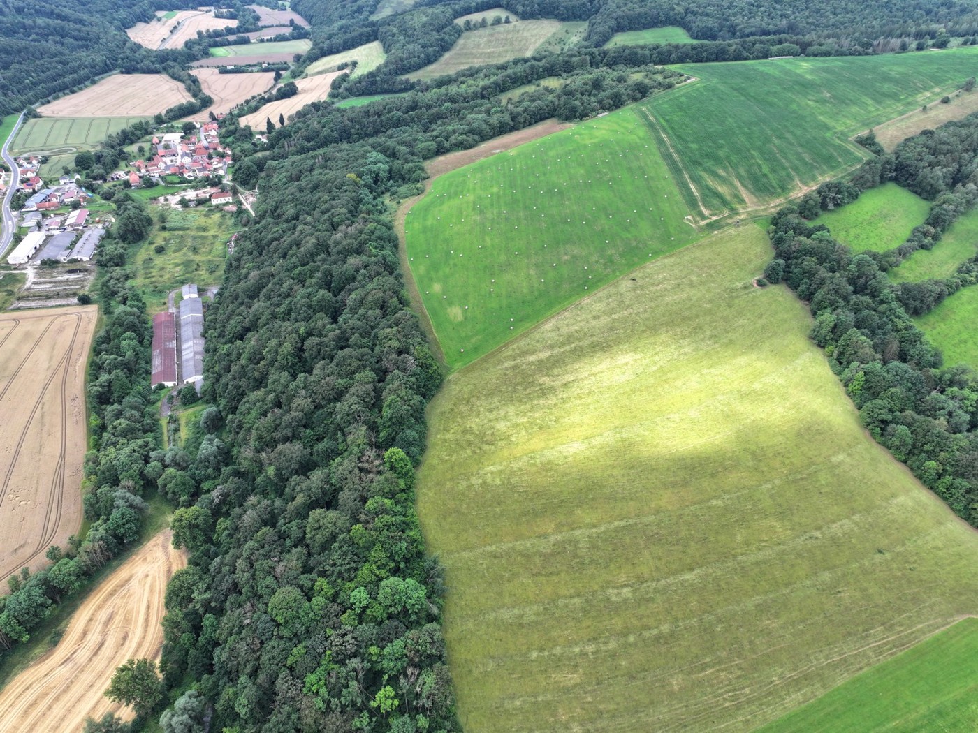 Luftaufnahme - Blick auf Acker und Wald