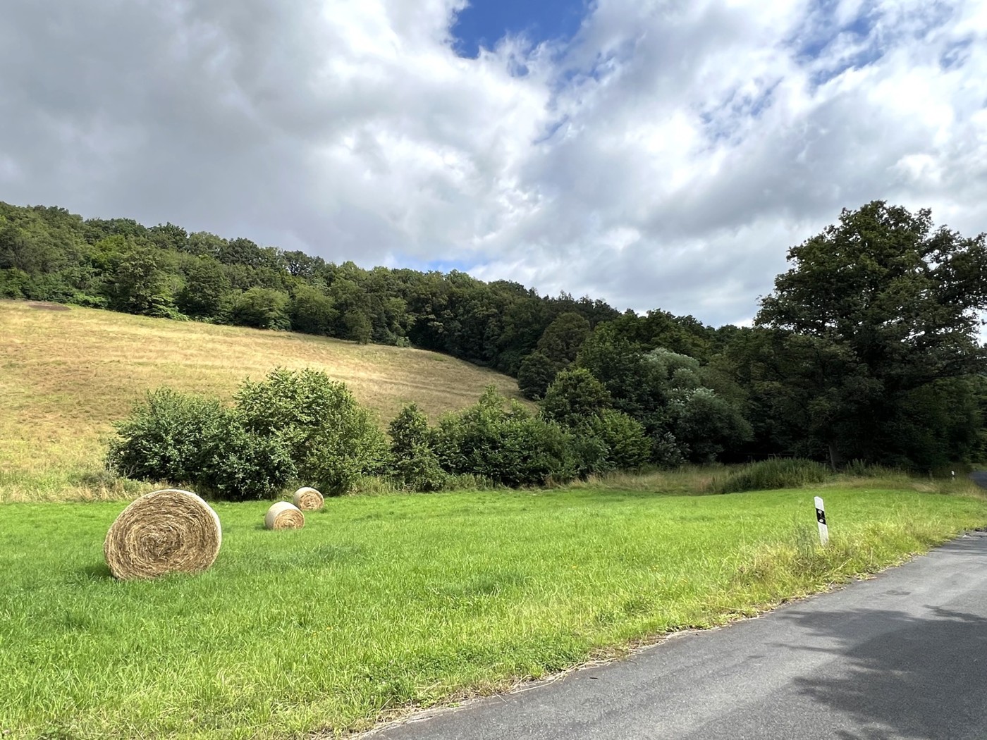 Blick von der Straße auf den Acker