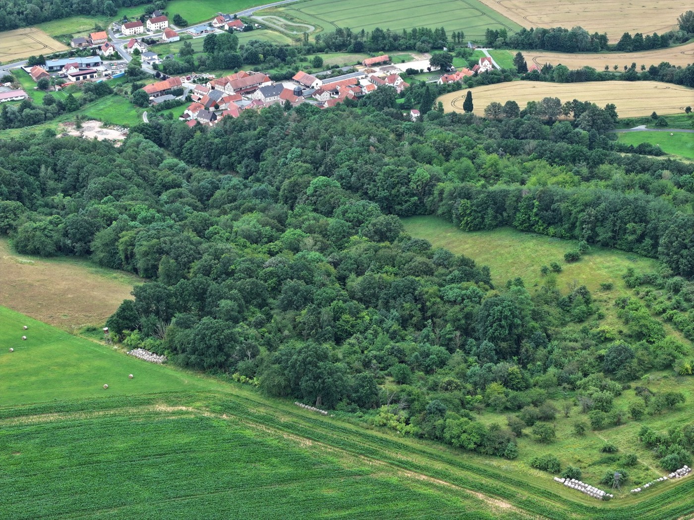 Luftaufnahme - Blick auf den Wald