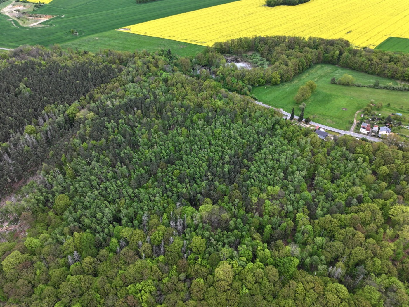 Luftaufnahme - Blick Richtung Nord-Osten