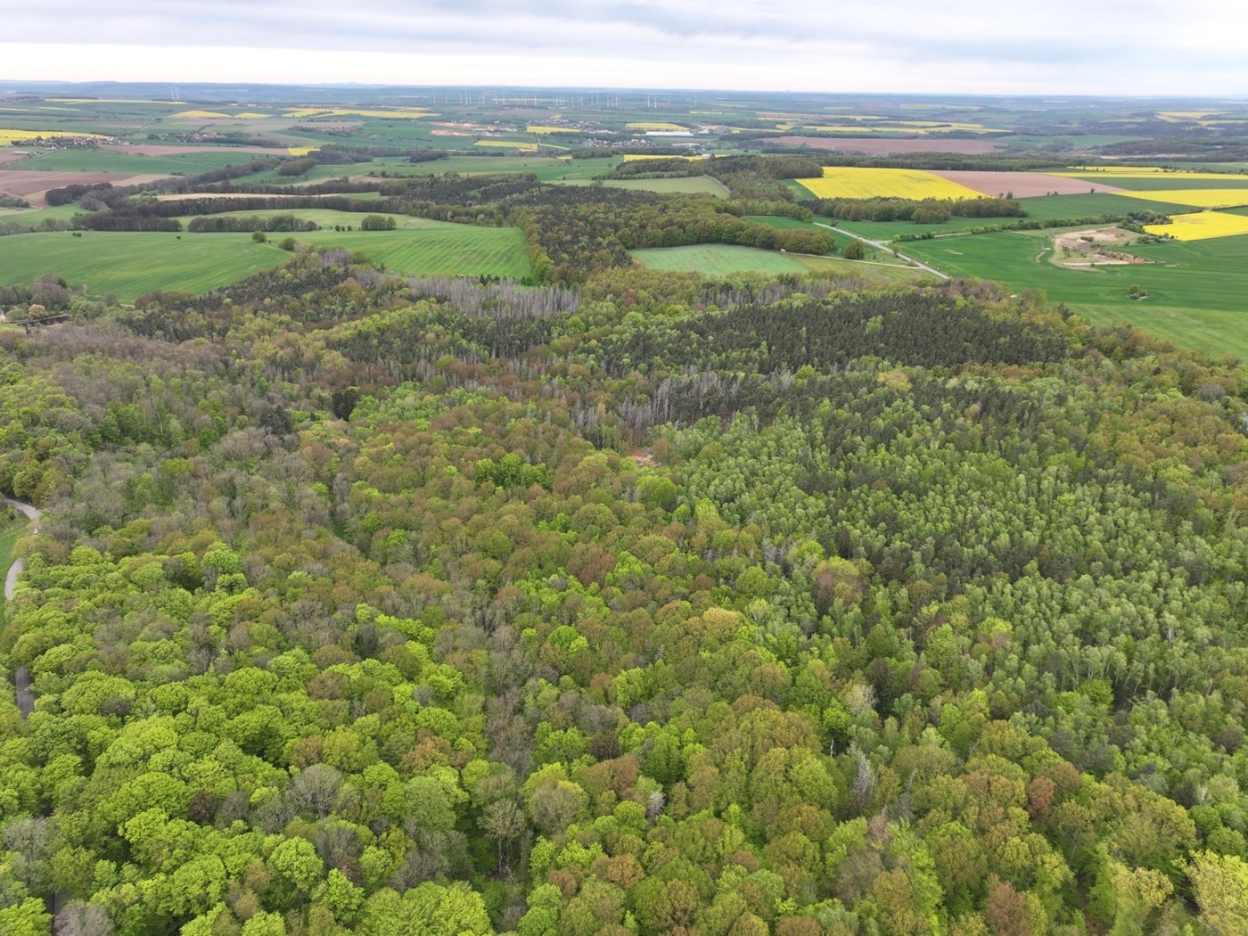 Luftaufnahme - Blick Richtung Norden