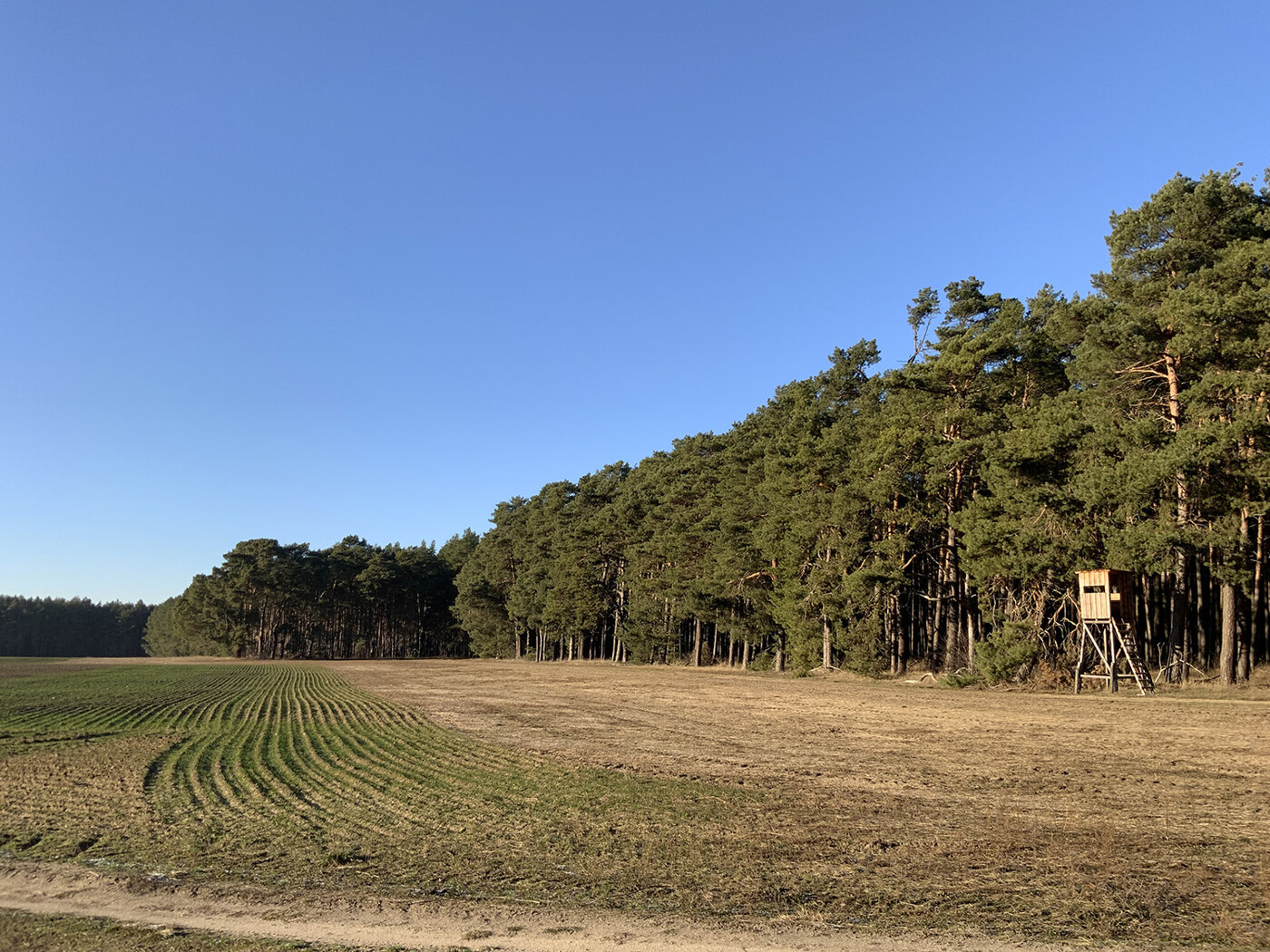 Blick Richtung Westen