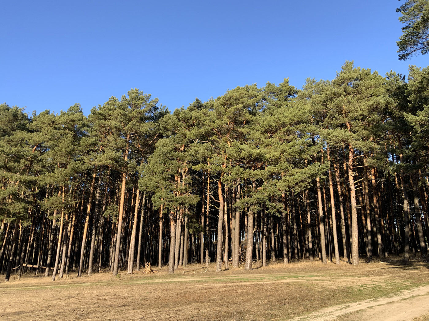 Blick Richtung Nord-Osten