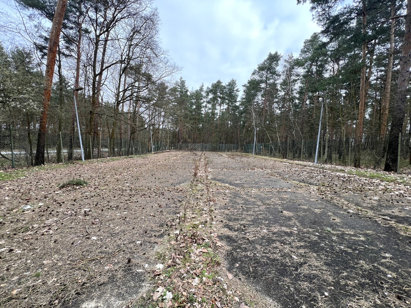 Blick auf die Fläche Richtung Norden