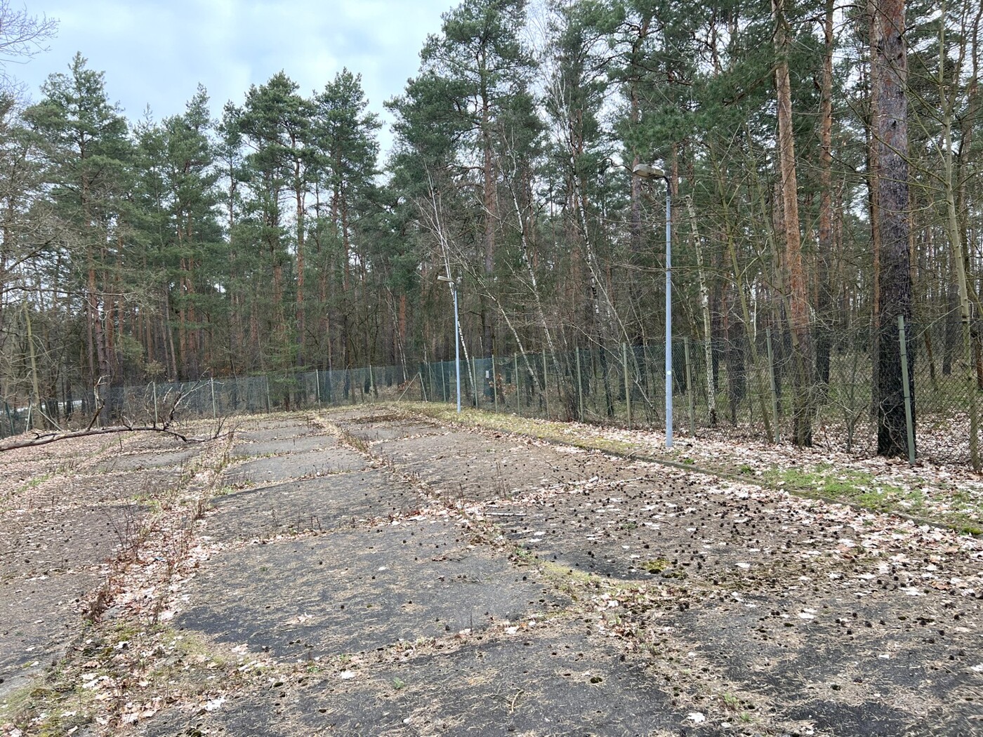 Blick auf die Fläche Richtung Norden