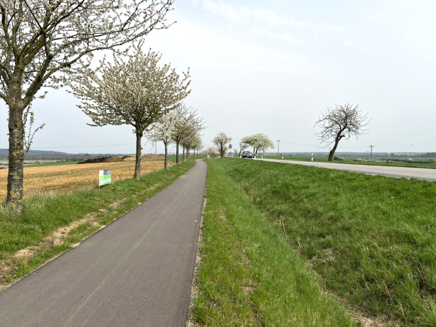 Allee am Rande des Flurstücks