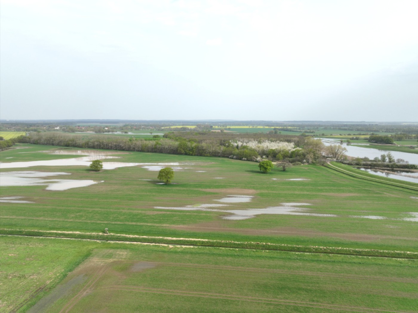 Luftaufnahme - Blick Richtung Norden