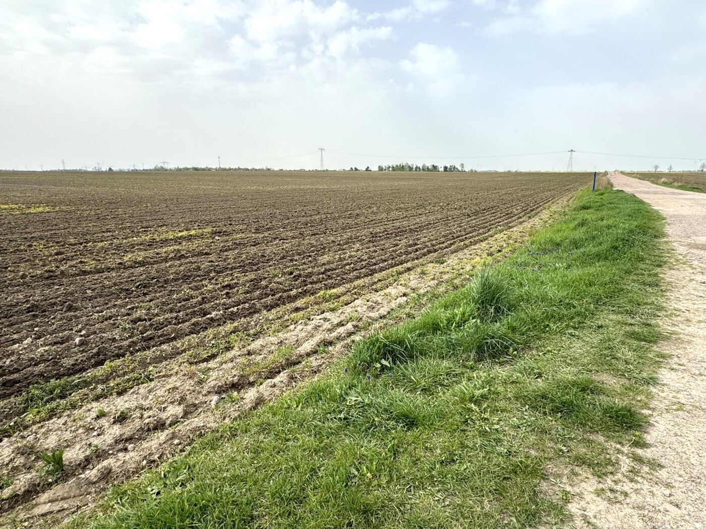 Blick vom Wirtschaftsweg