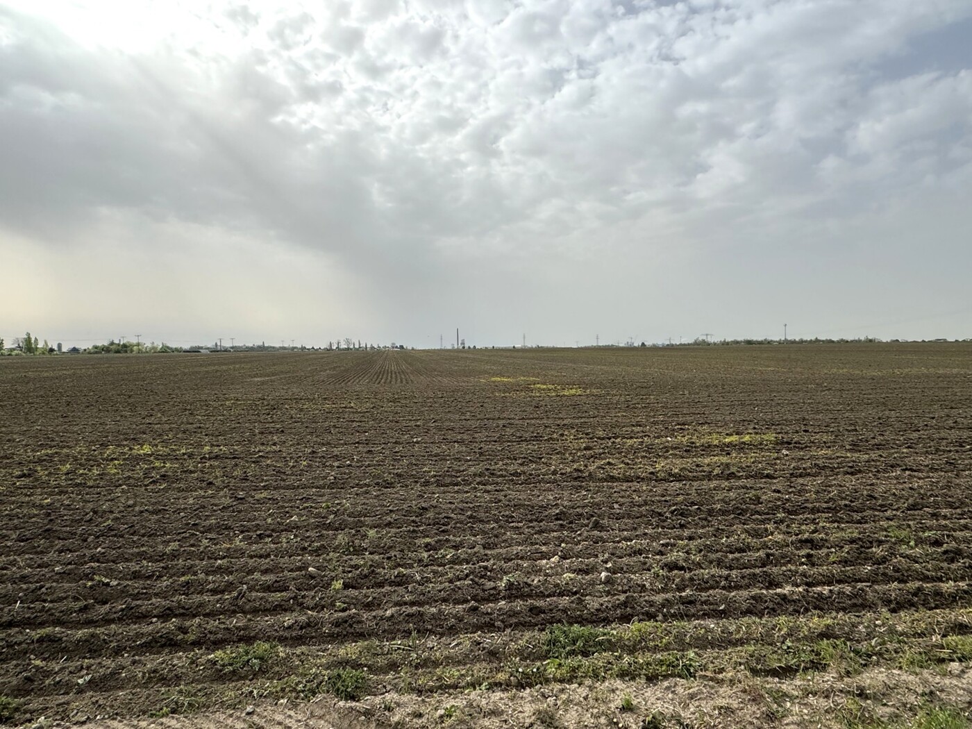 Blick über das Feld