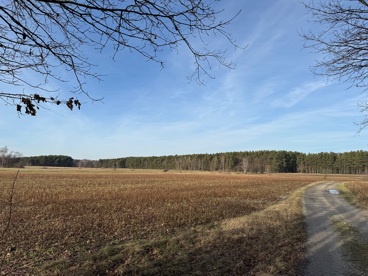 Blick über die Landwirtschafsflächen