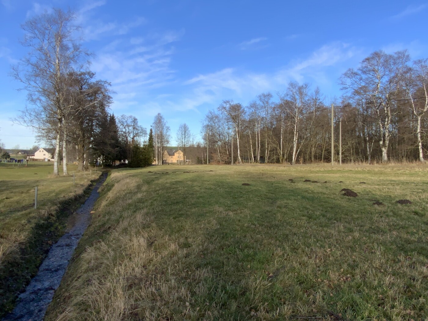 Bach am Rand der Wiese