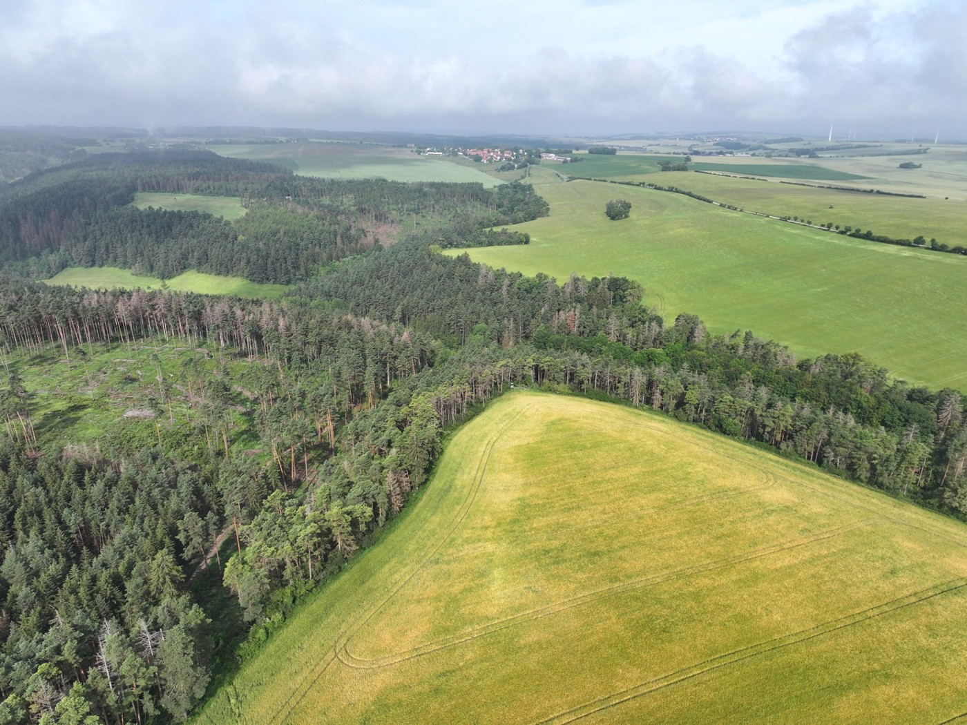 Luftaufnahme - Blick Richtung Nord-Westen