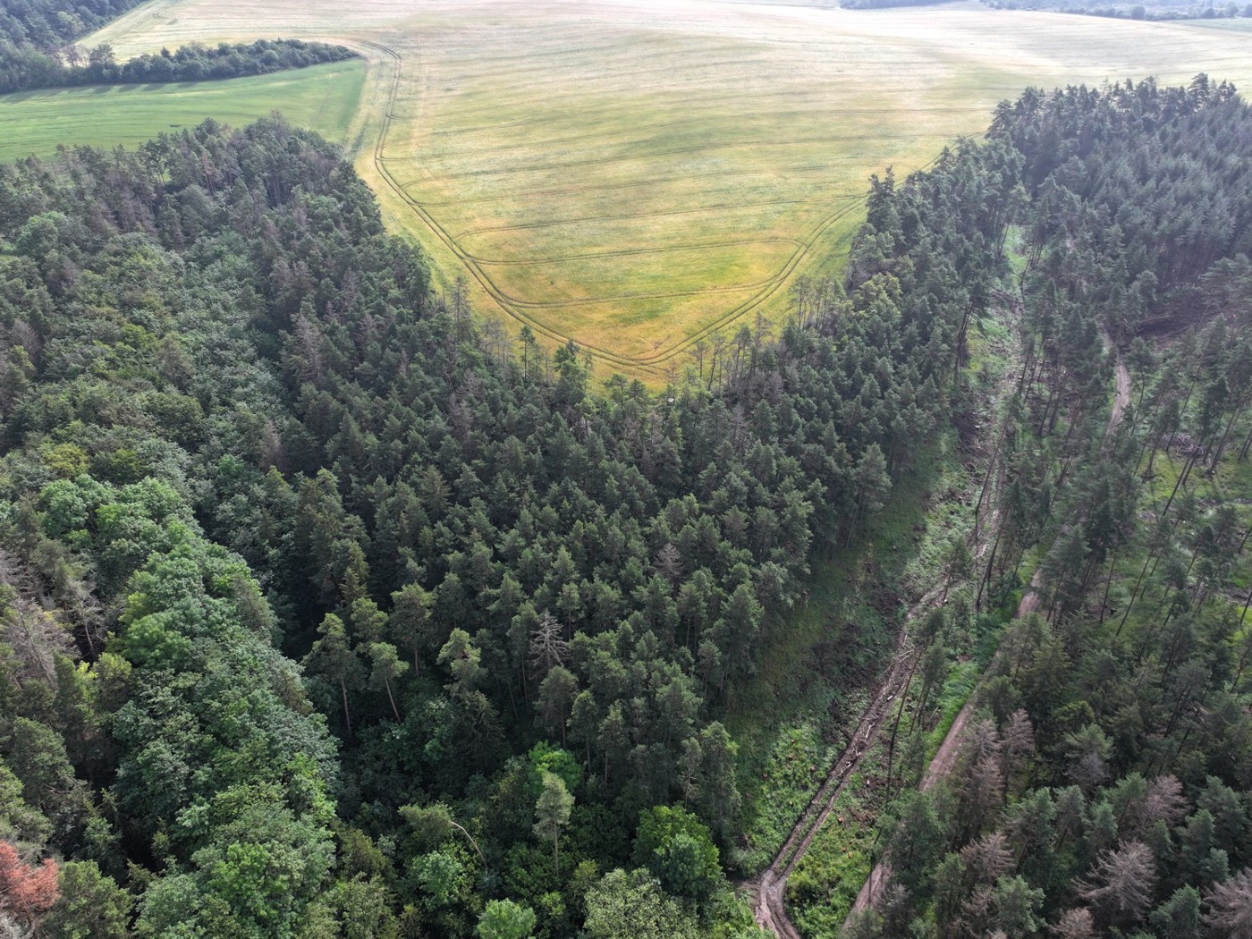 Luftaufnahme - Blick Richtung Osten