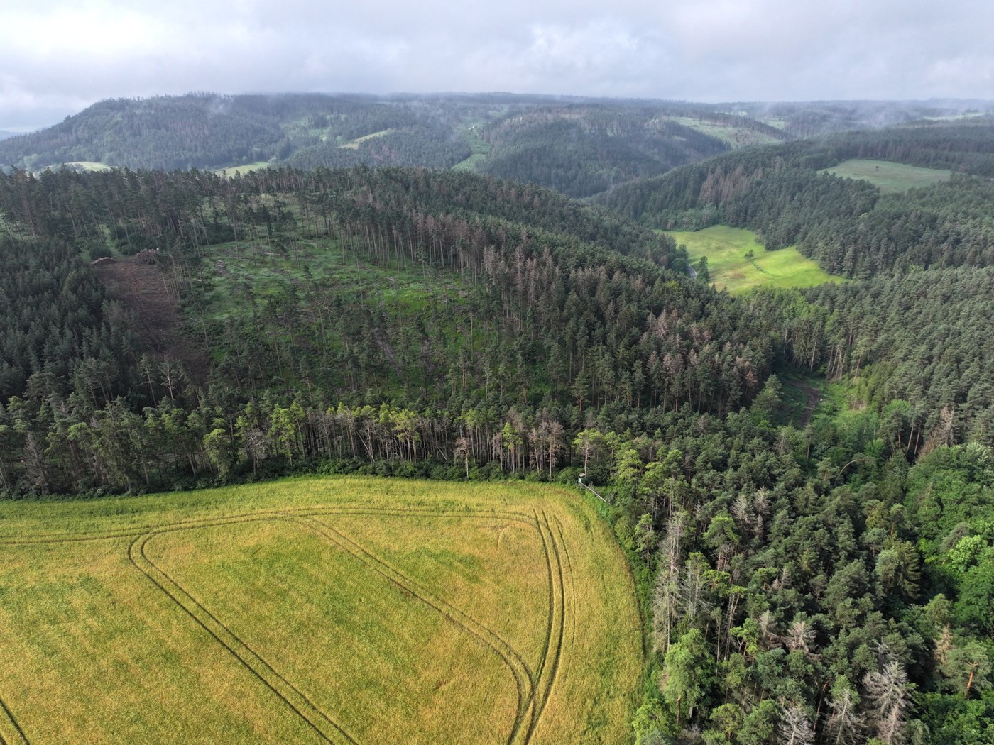 Luftaufnahme - Blick Richtung Süd-Westen