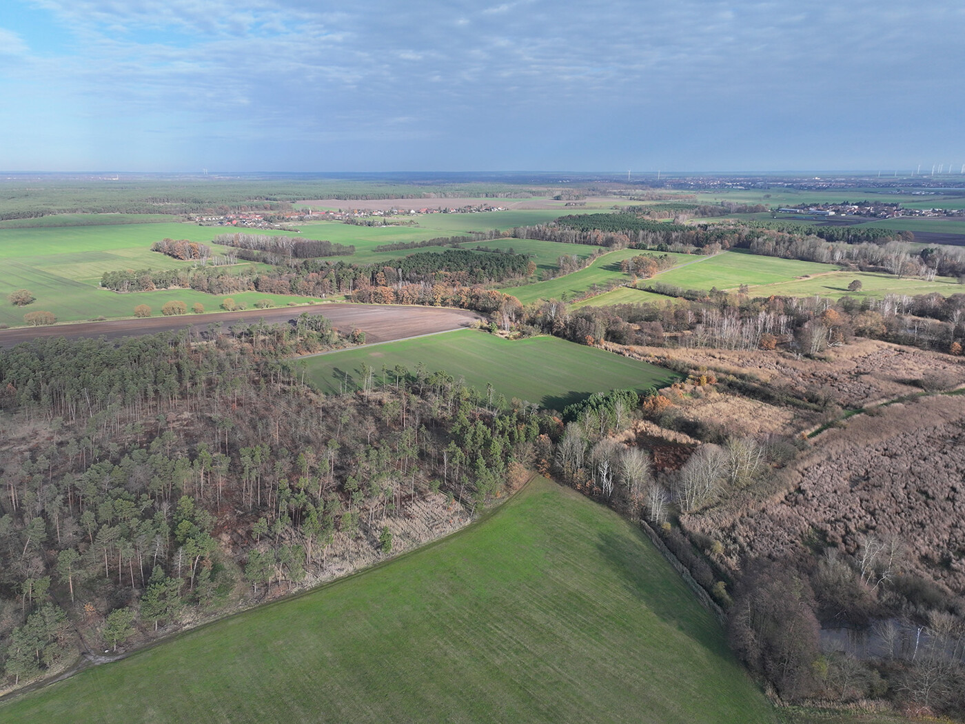 Schlag 4 - Blick Richtung Nord-Osten