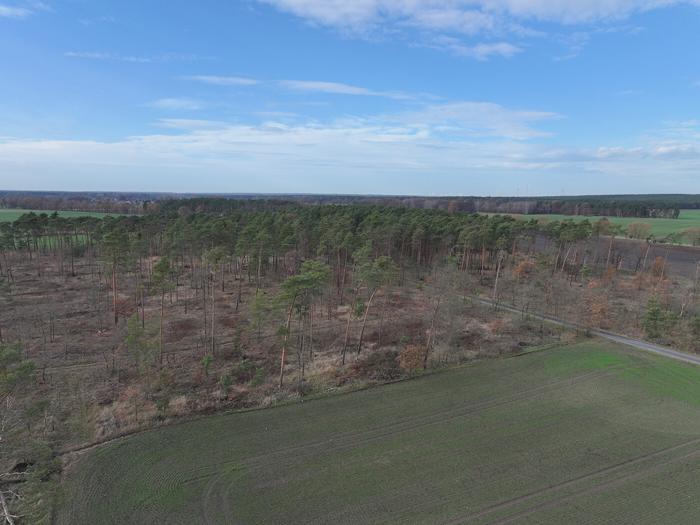 Schlag 4 - Blick Richtung Nord-Westen