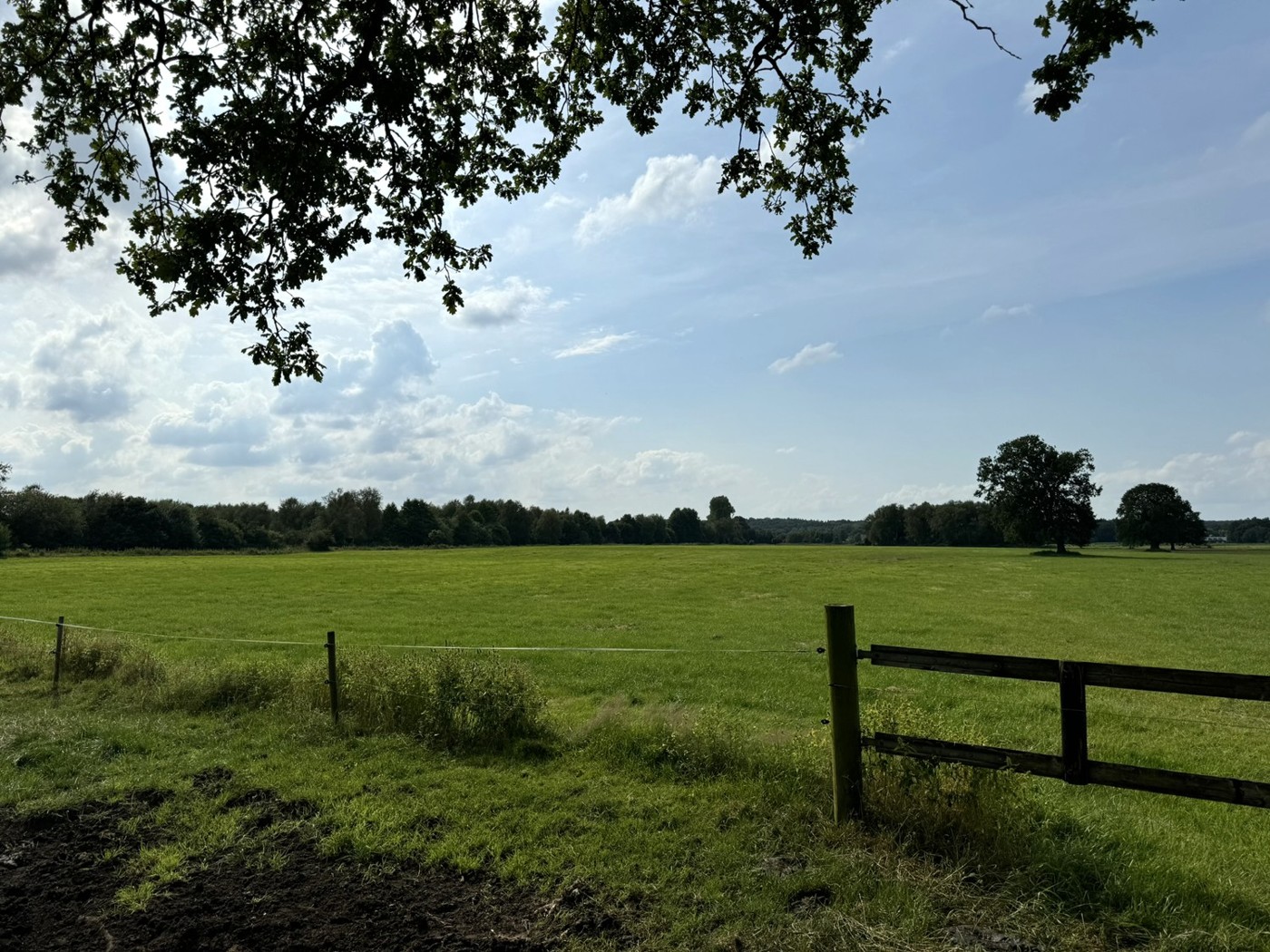 Blick vom Wirtschaftsweg mit Einfriedung 