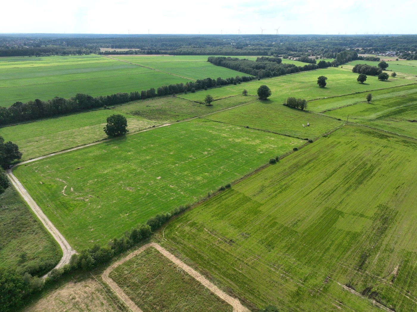 Luftaufnahme - Blick Richtung Westen