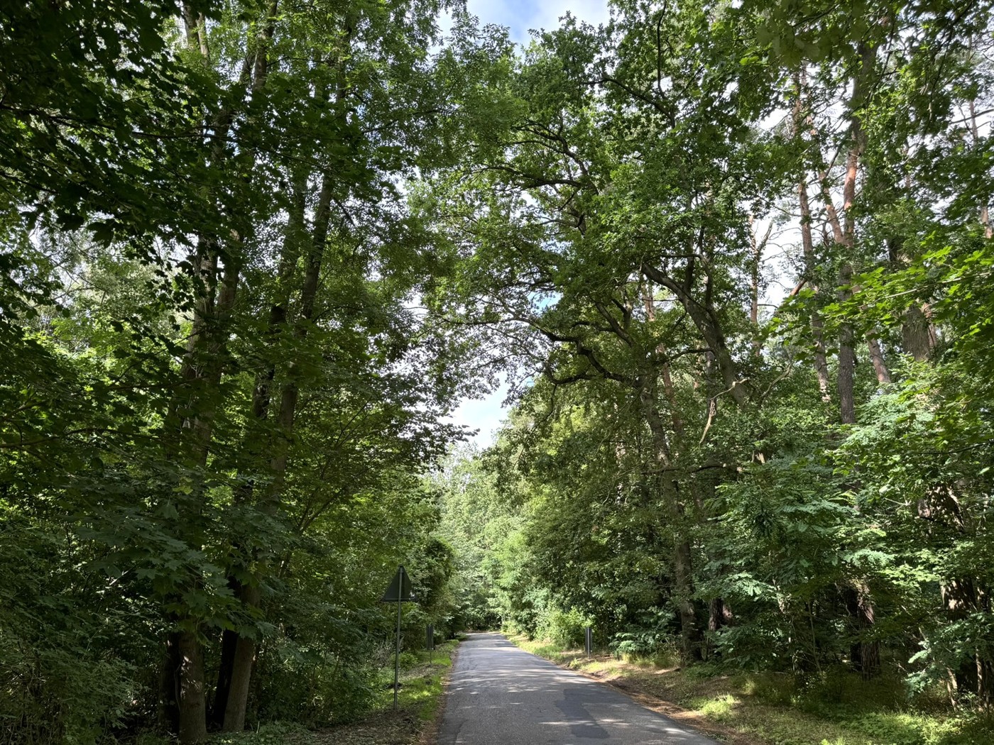 Blick vom Wirtschaftsweg