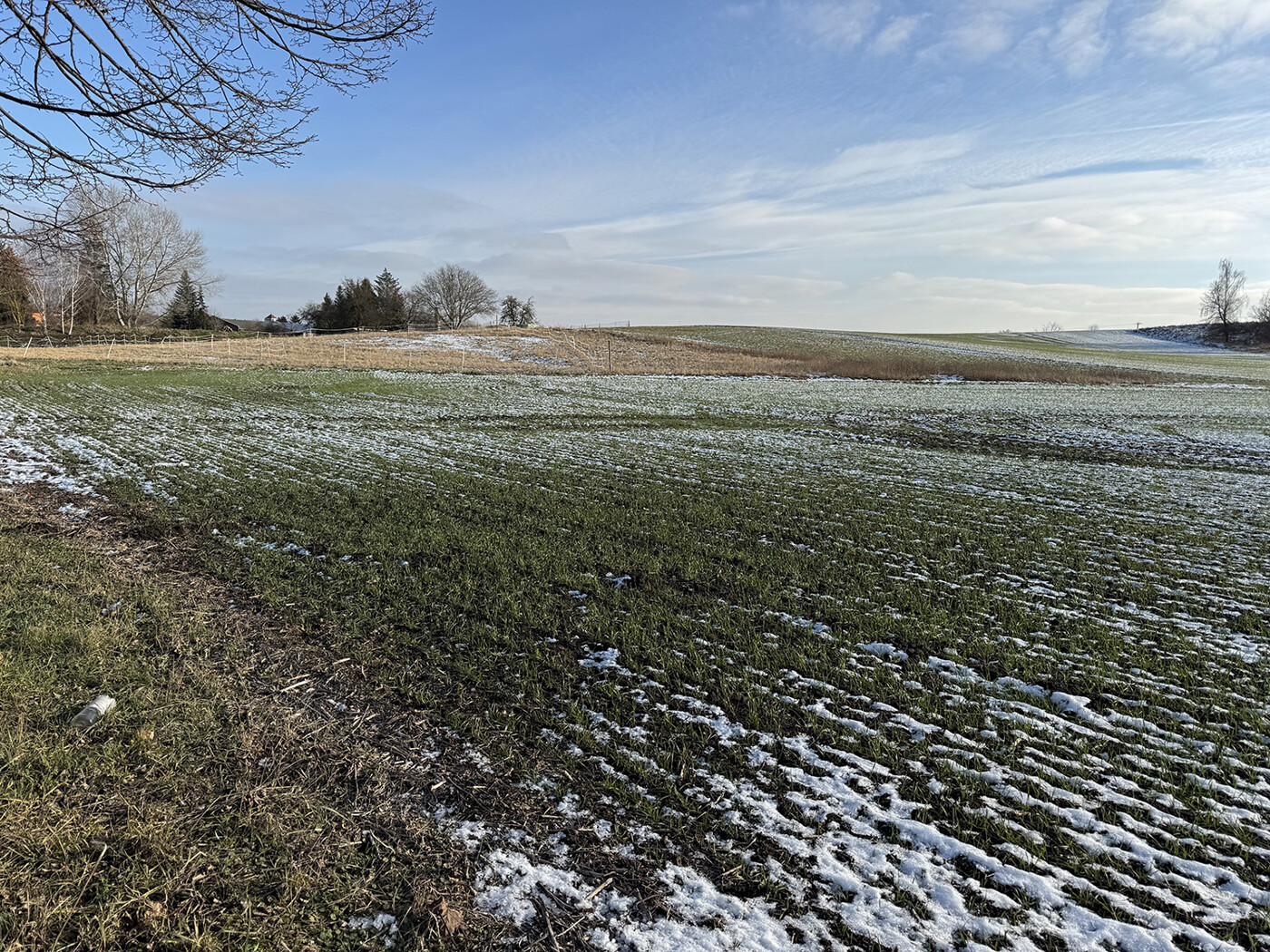 Blick über den Acker