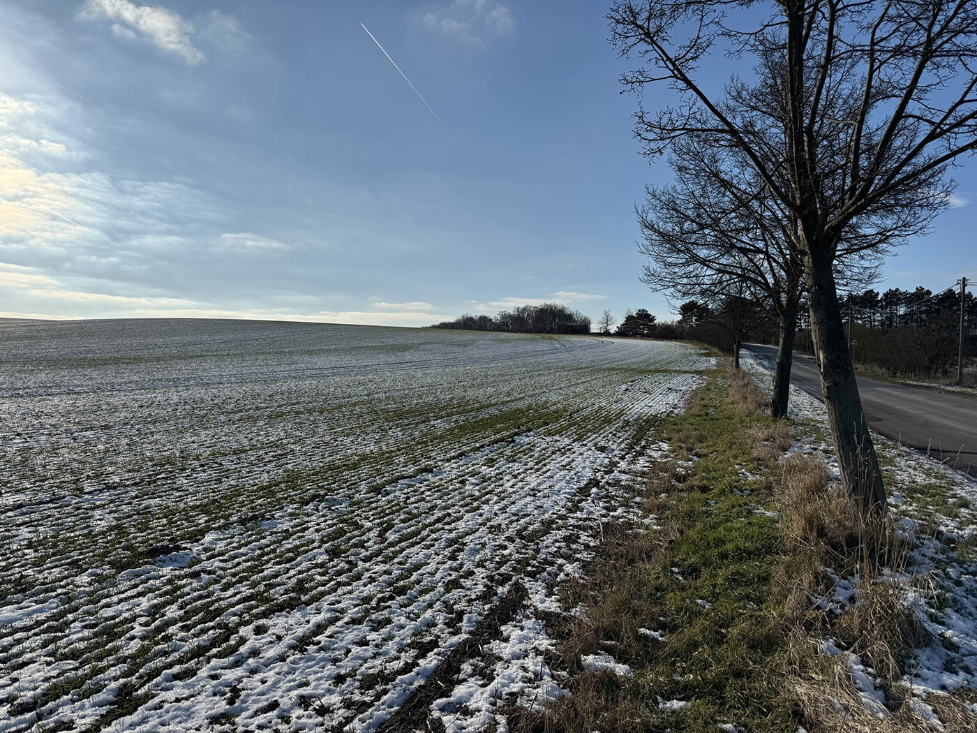 Blick von der Straße