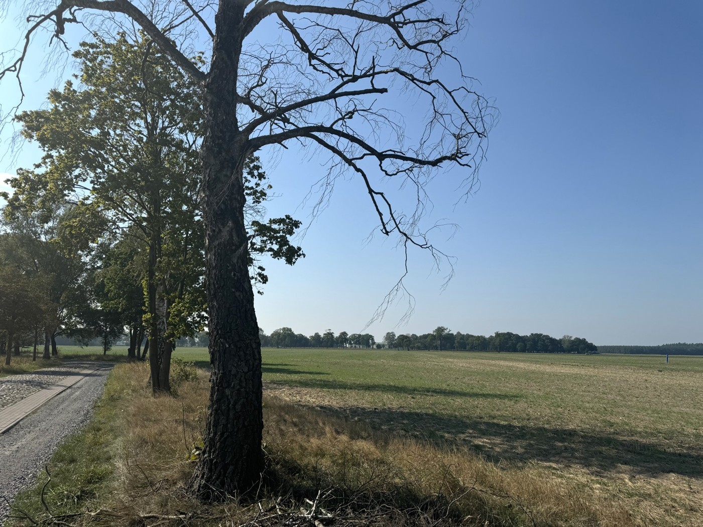 Blick entlang der Straße