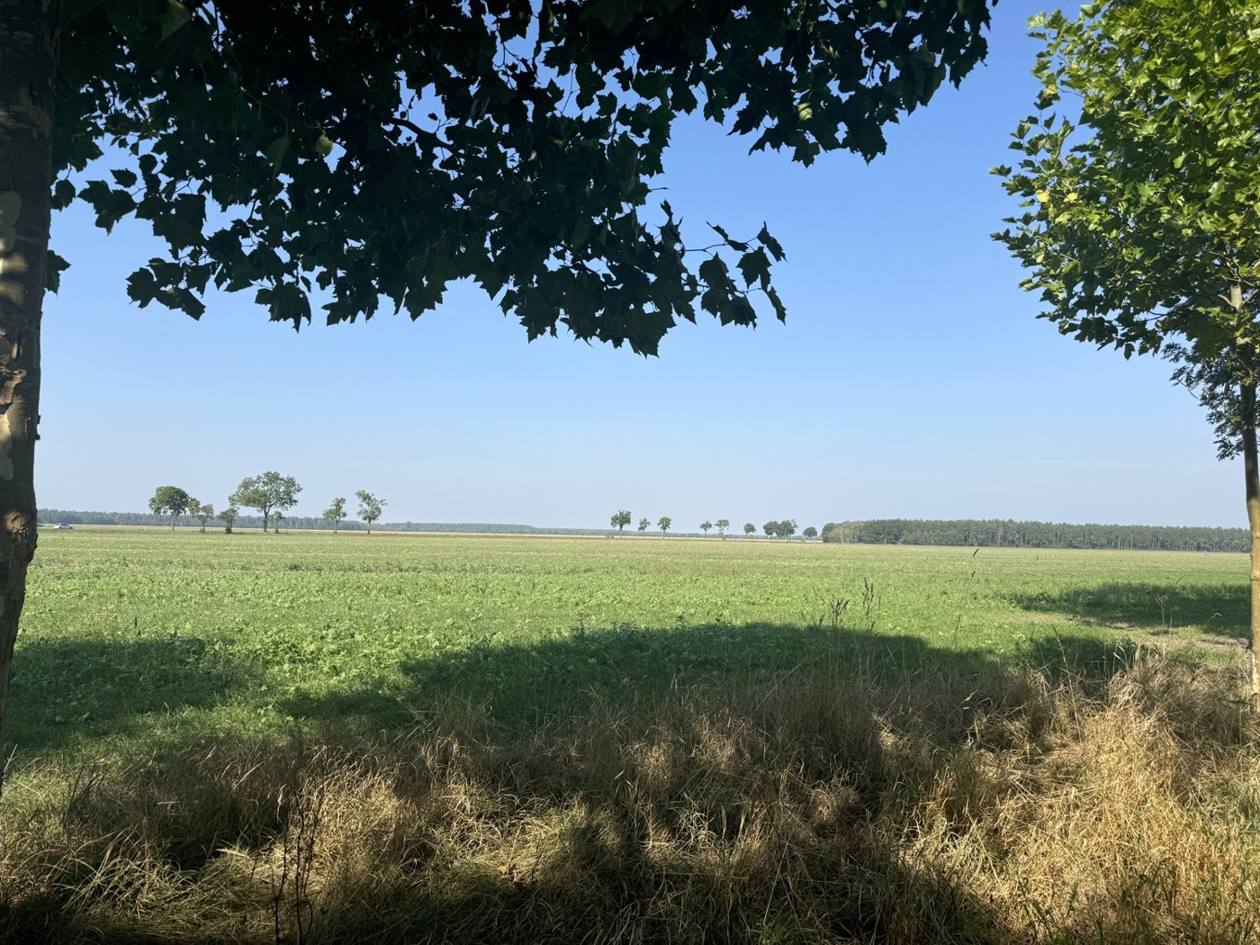 Blick von der Straße