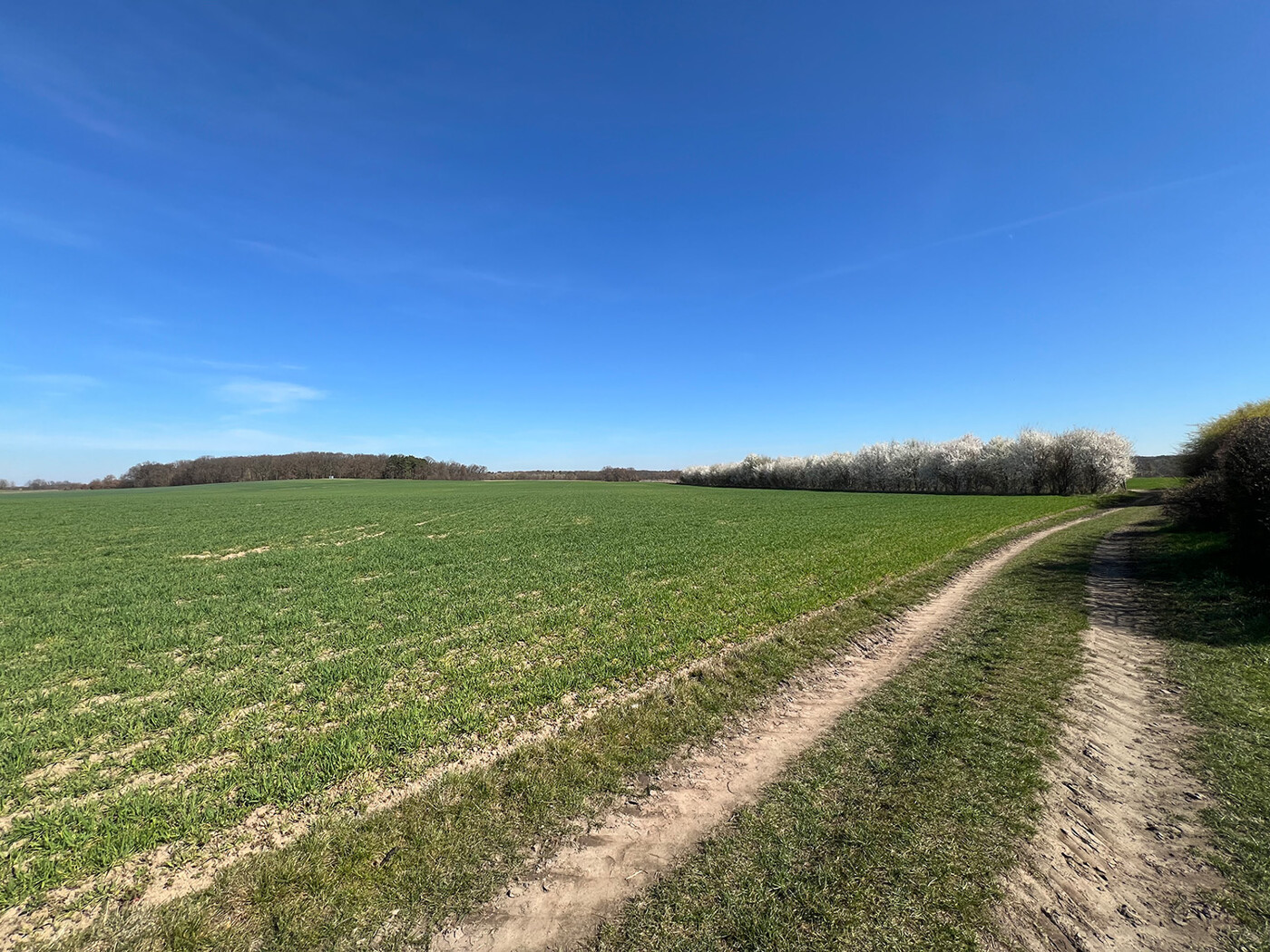Blick vom Wirtschaftsweg
