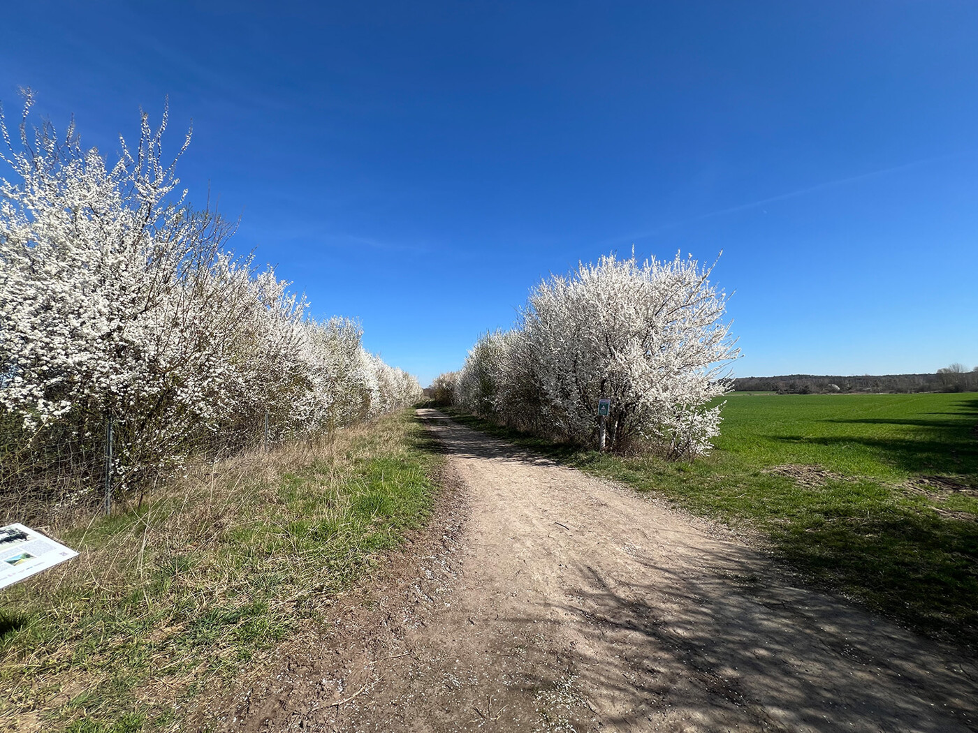 Wirtschaftsweg und Zuwegung Fl.-St. 194