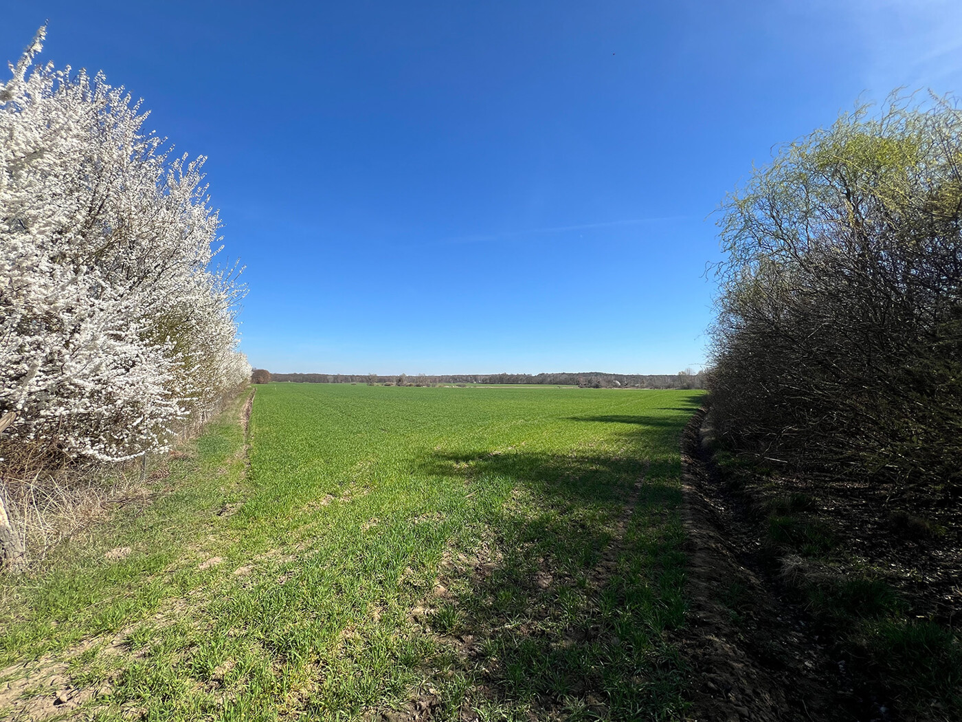 Blick auf Flurst. 194