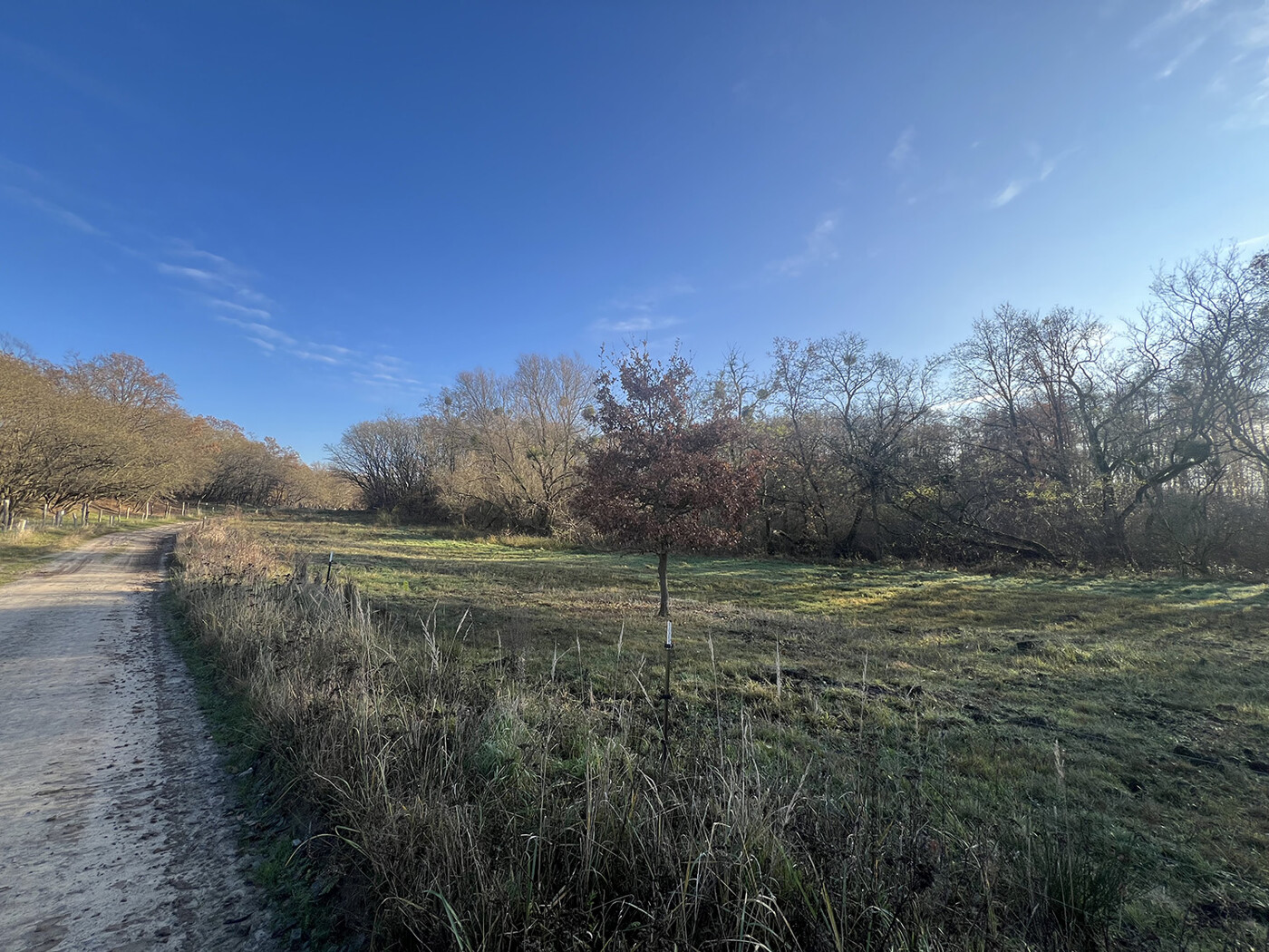 Blick vom nördlichen Weg nach Osten