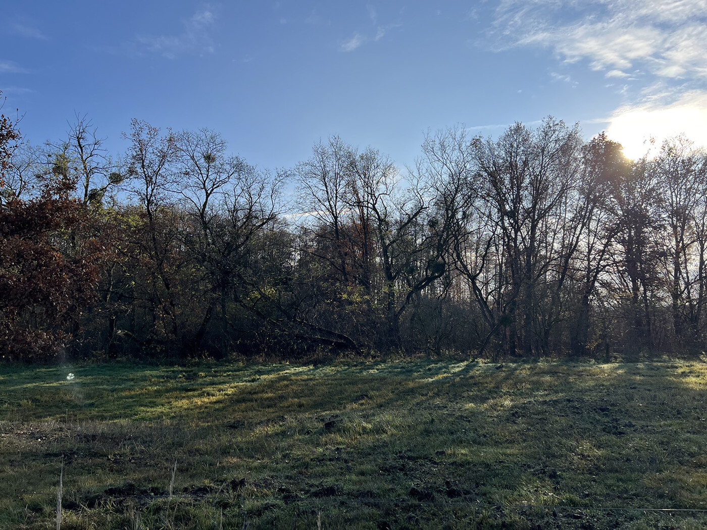 Blick vom nördlichen Weg