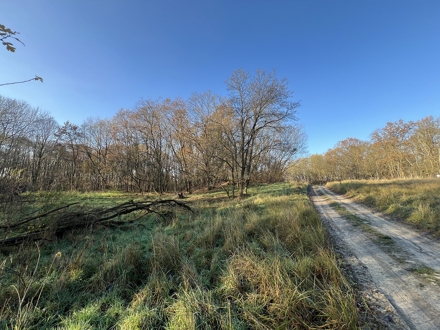 Blick vom Weg Richtung Norden