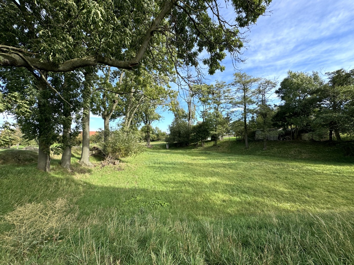 Blick über die Wiese 