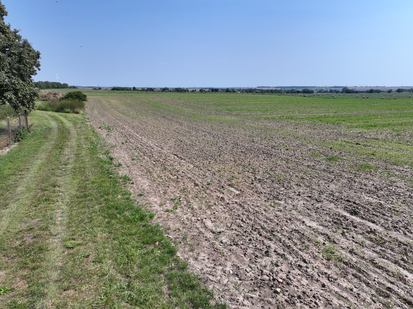 Blick auf den Acker