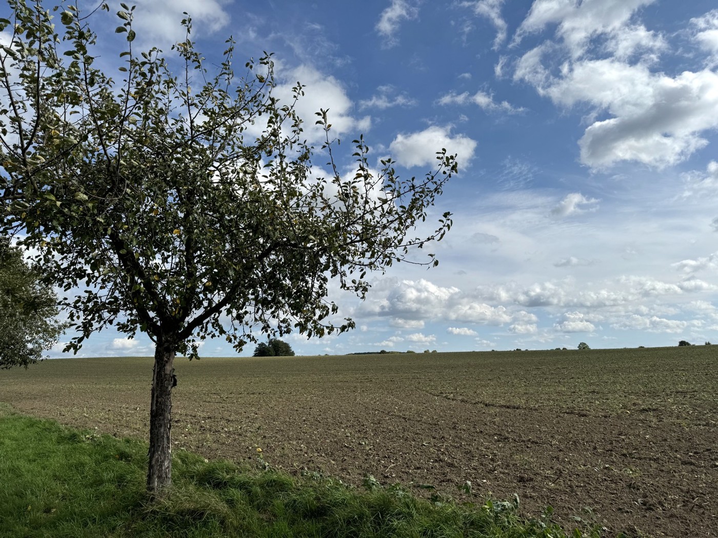 Blick von der Straße