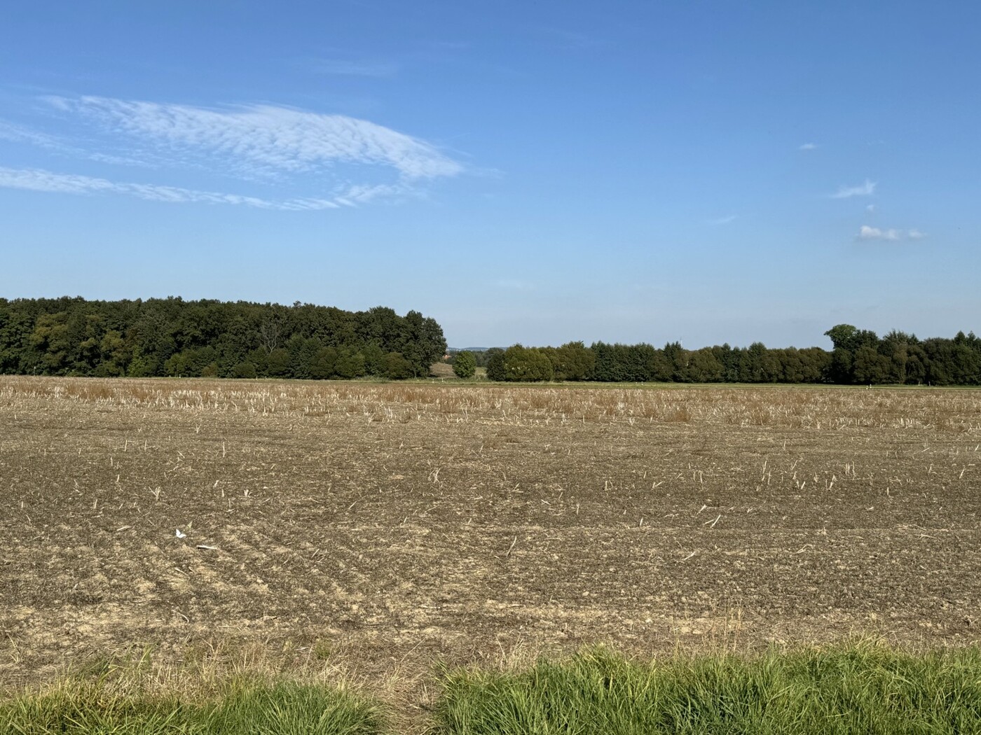 Blick von der Straße