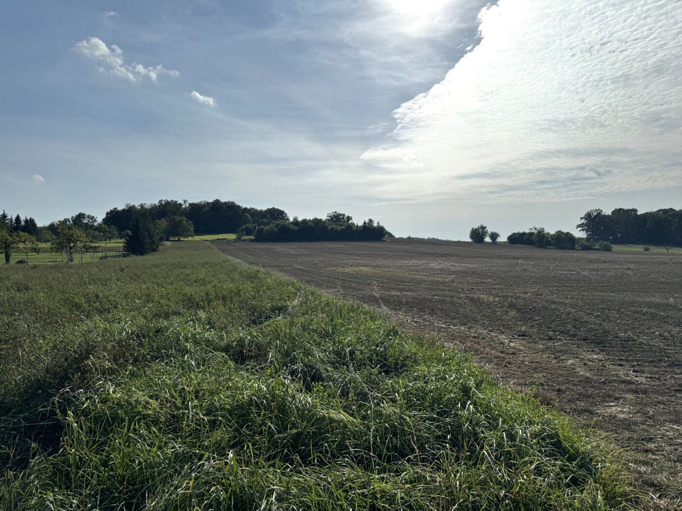 Blick über das Feld