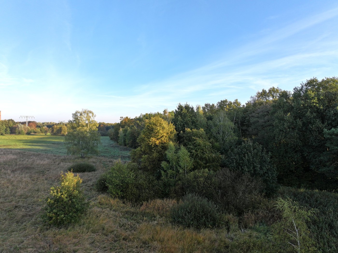 Blick auf den Holzungsanteil